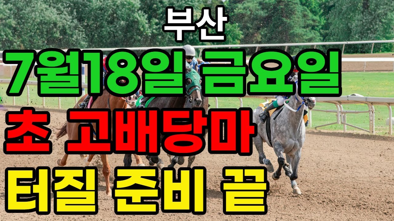 7월 18일 금요일 부산경마~ “부산 ! 마지막까지 놓치면 안 되는 복병 한 마리” l 승전경마 전문가의 이변 포착” l 경마 l 경마정보 l 경마예상 l 코리아레이스 l 검빛경마