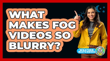 What Makes Fog Videos So Blurry? - Weather Watchdog