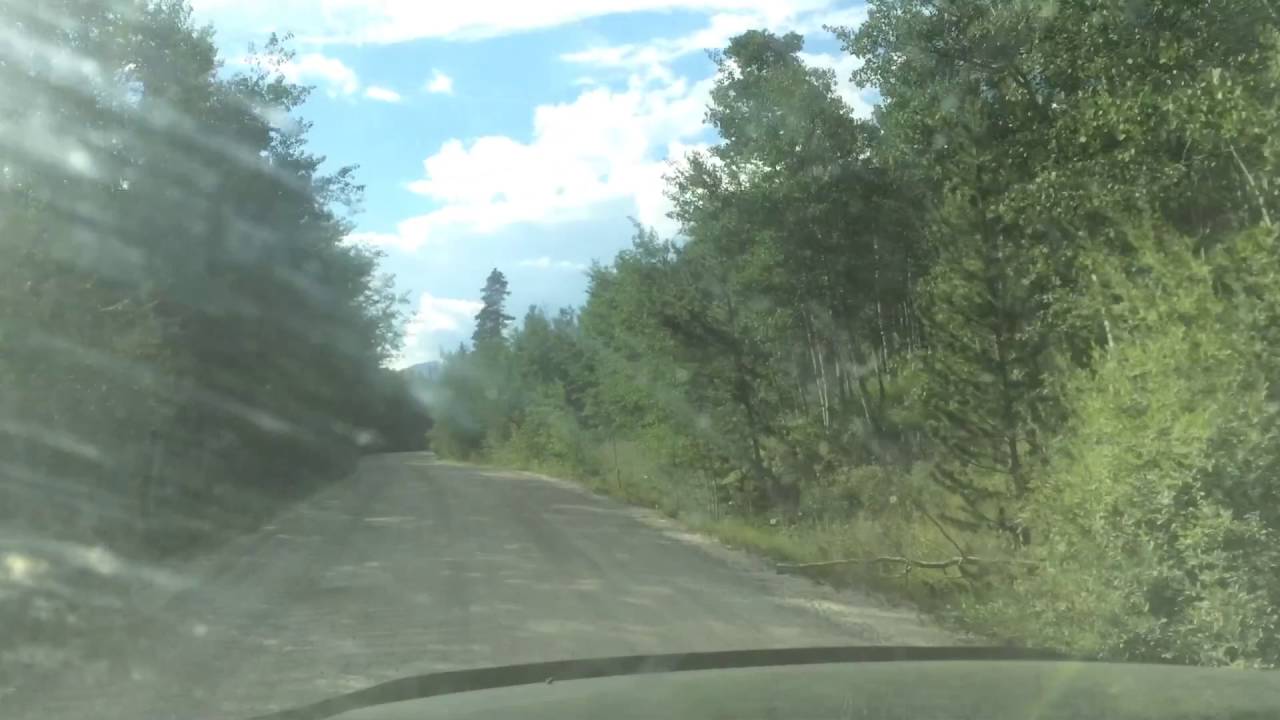 Jefferson Creek, CO from dan n.