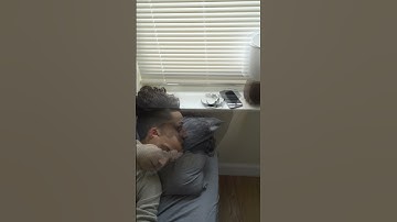 Ghost effect capcut and vn video editor tutorial #vnvideoeditor #viral #video #shorts #reels