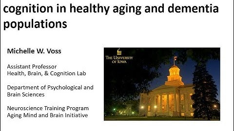 Exercise Effects on the Brain and Cognition in Healthy Aging and Dementia Populations