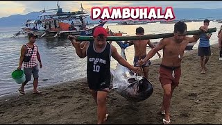Dambuhalang Blue pin Tuna Kalakihan sa taong itong dumating