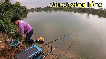 Câu cá chép tự nhiên sông hồng mùa này rất khoai