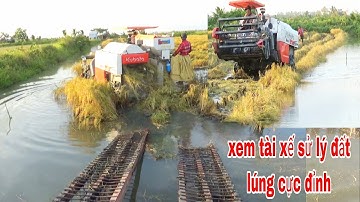 QUAY CẢNH MÁY CẮT LÚA KUBOTA DC70 GĂP ĐẤT LÚNG VUÔNG TÔM QUÁ GIỎI CHO TÀI XẾ combine claas truck