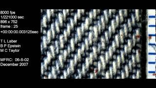 Impact spatter-rat trap 30 degrees to cotton denim | Blood Spatter Analysis