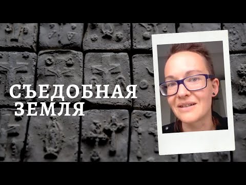 Видео: Диатомовая земля: 9 полезных свойств и способов применения, которые вам нужно знать