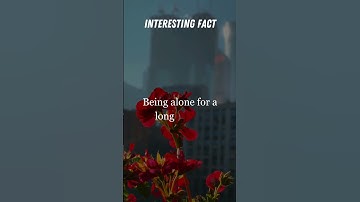 Belonging: The Journey of Finding Your Place in the World"