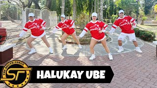 Download Lagu HALUKAY UBE ( Dj Danz Remix ) - Dance Trends | Dance Fitness | South Force MP3