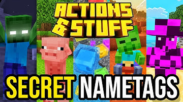 EVERY SECRET Name Tag In Actions & Stuff! | Hidden Easter Egg Mob Names!