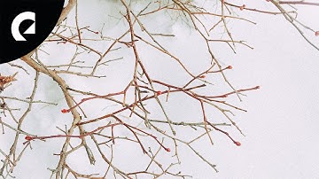 Daniel Kaede - A Sign of Solace