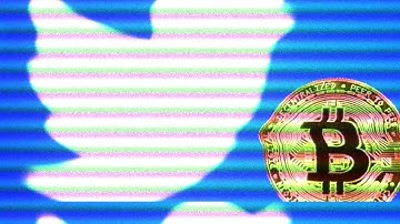 Twitter Rolls Out Bitcoin Tipping Feature & Hopes to Add NFT