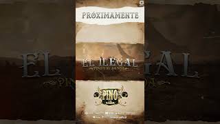 El ilegal -Pino y su banda #newmusic #musica #ciudad #tierracaliente #discosciudad
