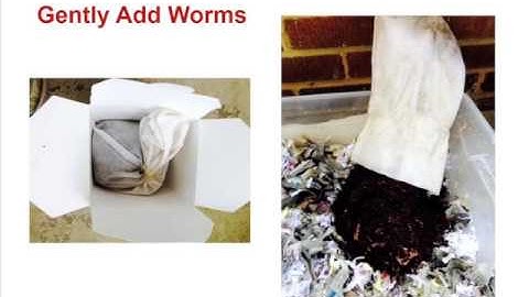 6-16-15 NRC-RMC Sustainable Materials Management  Webinar Series - Vermicomposting