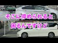 150万回再生🎉🎉🎉【迷惑な路駐】ぶつけられてから駐車監視員に違反切符を切られればいいさ【危険運転煽り運転事故撲滅委員会】
