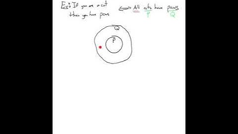 1.4 Conditional Statements