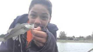 Jig and Lure fishing #1 Fishing for largemouth bass and pumpkin seeds