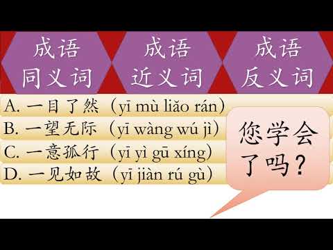 成语   同义词, 反义词 4   一目了然，一望无际，一意孤行，一见如故