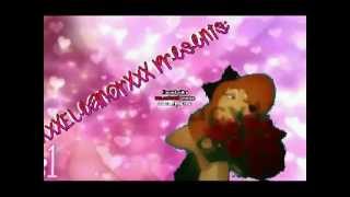 Intro for Animash Video's