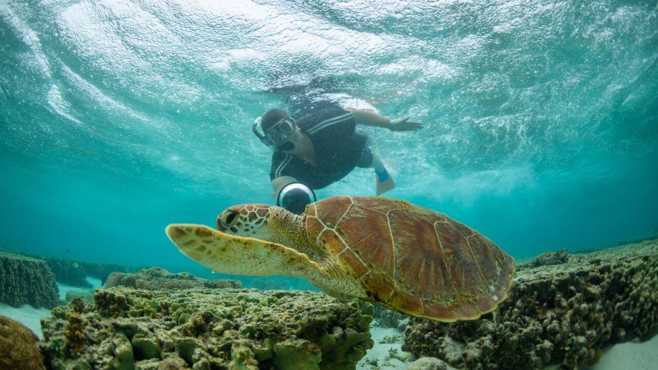 Proposed Tourist Tax won t Be Popular In Queensland YouTube