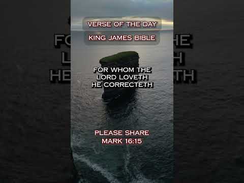 VERSE OF THE DAY - PROVERBS 3:11-12 #DailyScripture #BibleVerse #ChristianShorts #ScriptureOfTheDay