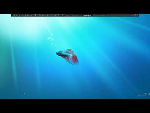 Windows 7 Build 7000 (VMware)