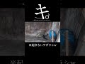 キ。-気づかないアザラシについて-