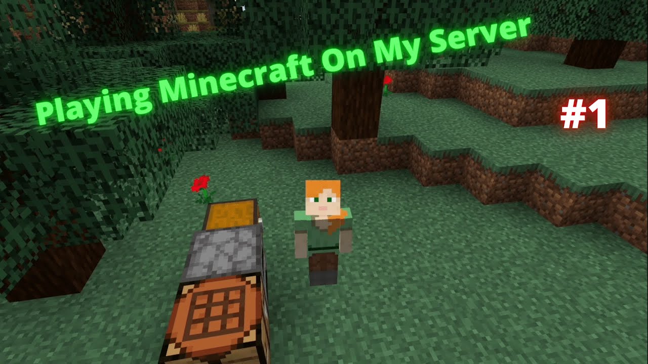 MInecraft #1-Playing On My minecraft server - YouTube