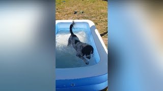 Pool Time