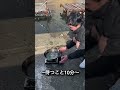海ぶどうを素揚げにすると…ヤバすぎた　#shorts