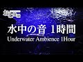 【ASMR】「水中スペシャル」水中の音1時間 - おと風景