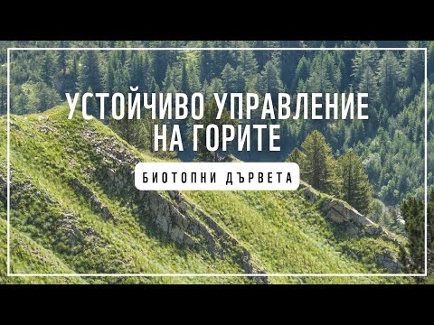 Видео: Защо местообитанието е важно за животните?