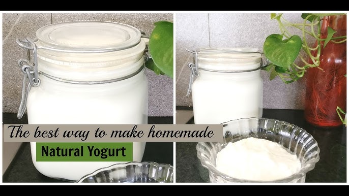 Never Buy Probiotics Again — Use This Simple Process to Make Yogurt At Home  and Boost Your Gut Health