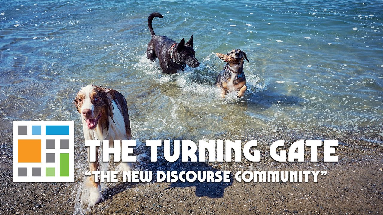 The Turning Gate's New Community Discourse