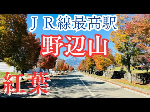 JR線の最高駅【野辺山駅】秋の紅葉