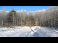 Приволжский лес