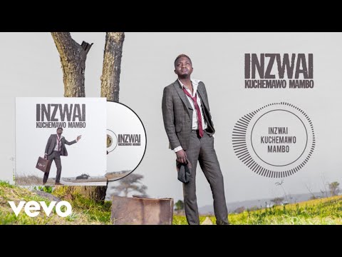 Killer T - Inzwai Kuchemawo Mambo (Official Audio)