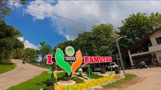 Download Lagu Pamutan, cebu city MP3