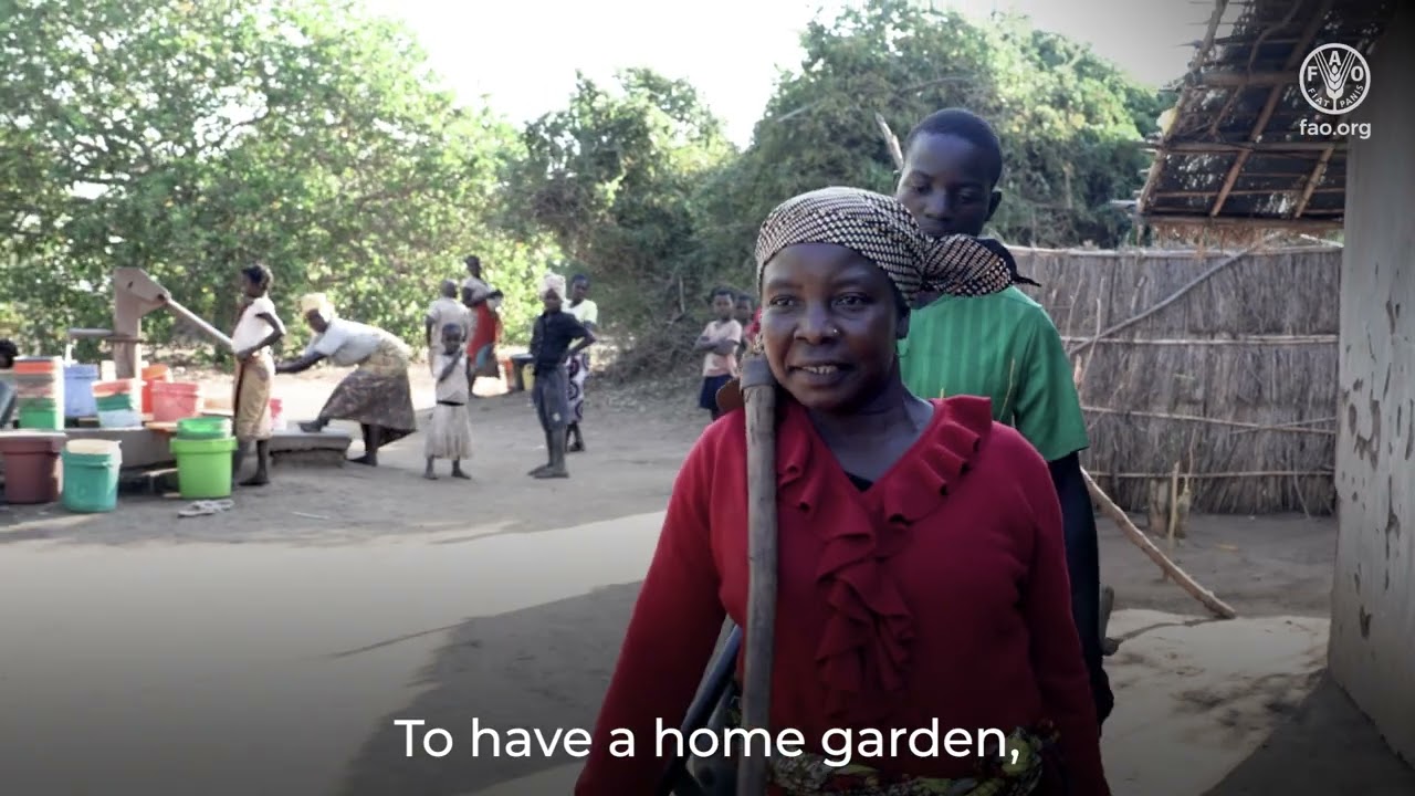 Лучшее питание