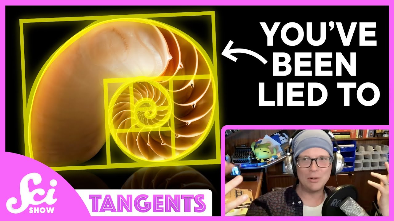 Shells | SciShow Tangents Podcast