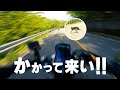 いろは坂にバイクで行ったらマジで激ヤバな生物と遭遇したけど私のライディングテクニックでねじ伏せたよツーリング【XSR900】突然逃太郎のモトブログ