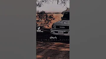 اقلبها بنا يا سواق 