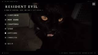 My cat as a loading screen