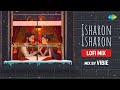 Isharon Isharon Mein Dil Lene Wale | Lofi ~ VIBIE Mix | Kashmir Ki Kali| Asha Bhosle | Mohammed Rafi