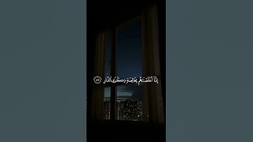 سورة ص - محمد النقيدان ❤️