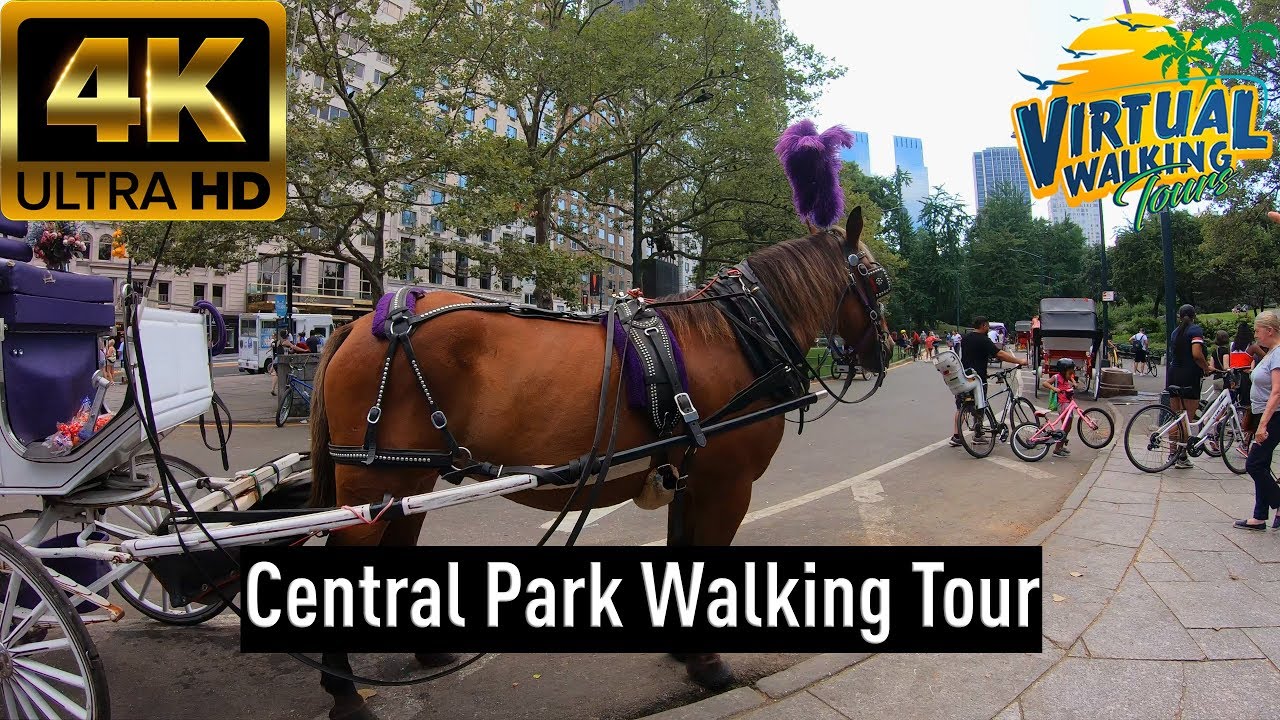 4K60 Central Park New York, NY Virtual Walking Tour YouTube