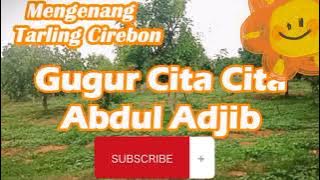 Abdul Adjib - Gugur Cita Cita #tarlingcirebonan #tarlingcirebon #abduladjib