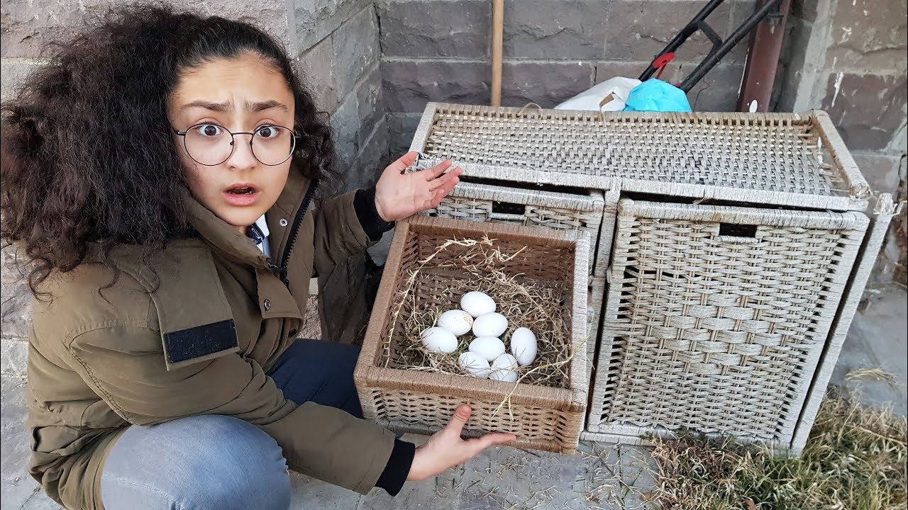 SÜHEYLA BAHÇEDE YUMURTA BULDU  - IN THE GARDEN EGG FIND