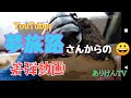 オオクワガタ着弾動画