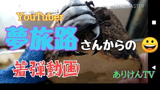 オオクワガタ着弾動画