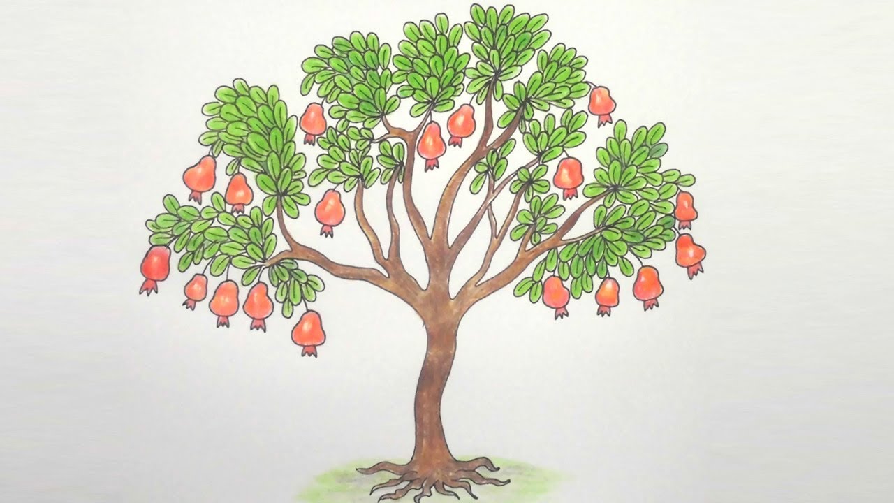 Featured image of post Bayabas Tree Drawing Easy 735x885 best trees drawing simple ideas on tree drawing